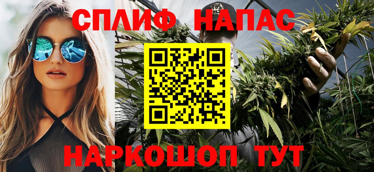 Аргун  Конопля AK-47  Шишки марихуана семена  Каннабис Ganja  Канабис планчик  Вход с VPN 